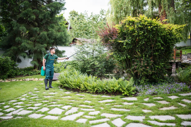 Wasp Removal Services in Lyndhurst, VA