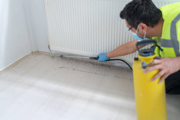 Best Wasp Removal Services  in Lyndhurst, VA