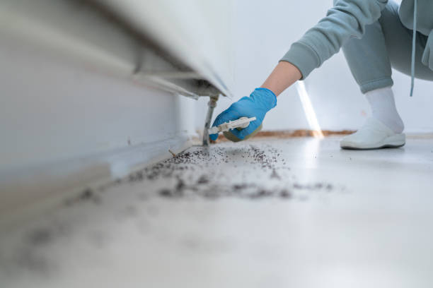 Best Pest Control for Businesses  in Lyndhurst, VA